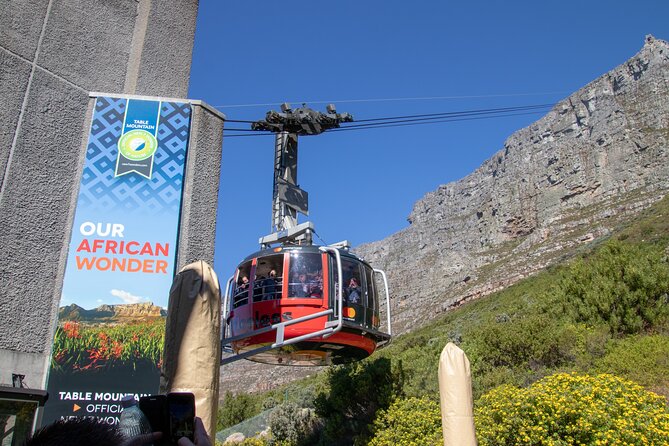 Table Mountain, Boulder's Penguins & Cape Point Private Tour from Cape Town - Table Mountain Aerial Cableway: The Ticket Tip and Weather Reality