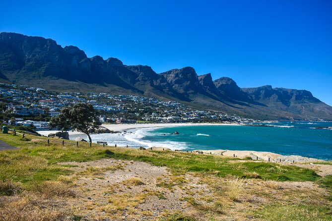 Table Mountain, Boulders Penguins & Cape point Private Day Tour - Why this private Cape Peninsula loop fits limited time