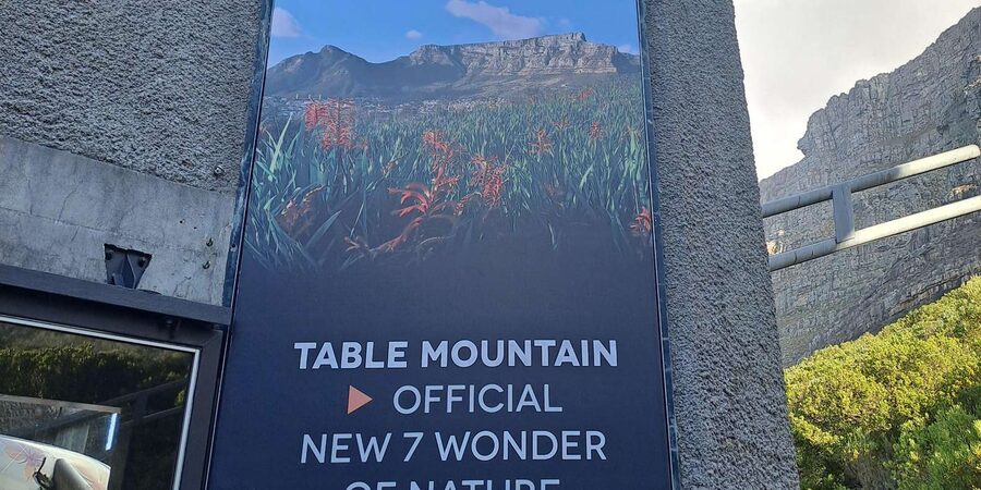 Table Mountain Cable Car Ticket with Transfer - Plant Life, Wildlife Sightings, and What to Watch For