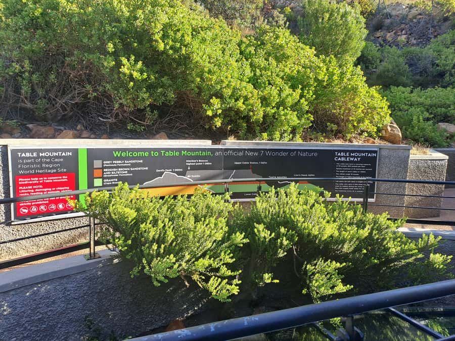 Table Mountain Cable Car Ticket with Transfer - Price and Value: Is Standard Access Enough, or Fast Track?