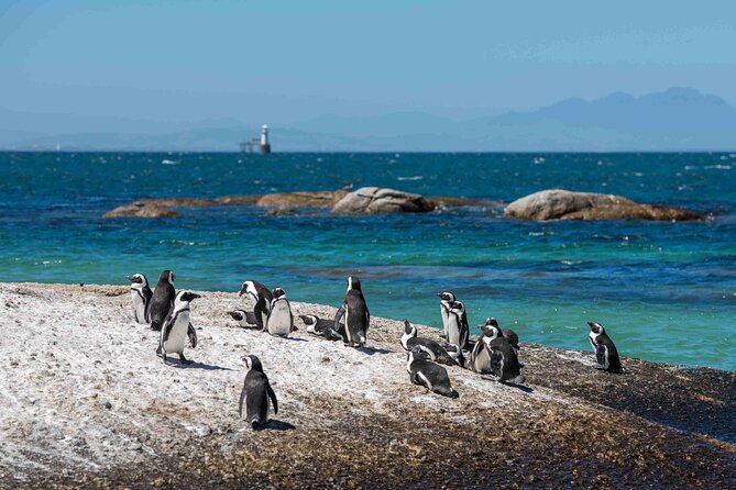 Table Mountain, Cape of good hope Full Day Shared Group Tour - Muizenberg Beach at the end: an easy finish on False Bay