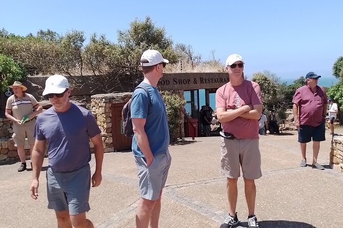 Table Mountain, Cape of Good Hope & Penguins - Seal Island (optional): short boat time, no landing