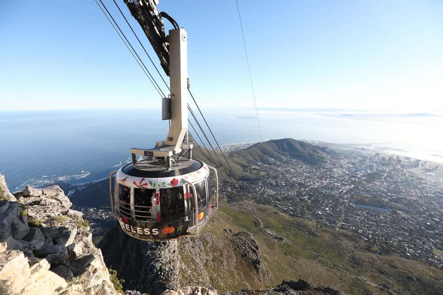 Table Mountain, Cape Of Good Hope, Penguins, Full Day Tour - Key highlights
