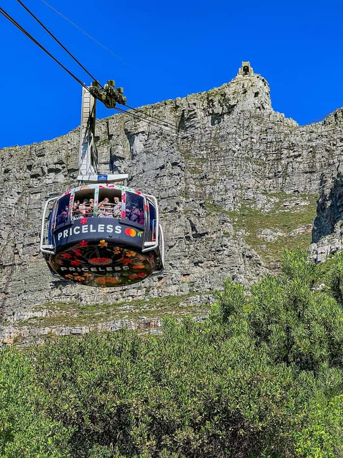 Table Mountain, Cape Of Good Hope, Penguins, Full Day Tour - Hout Bay and Seal Island: animal time without the long slog
