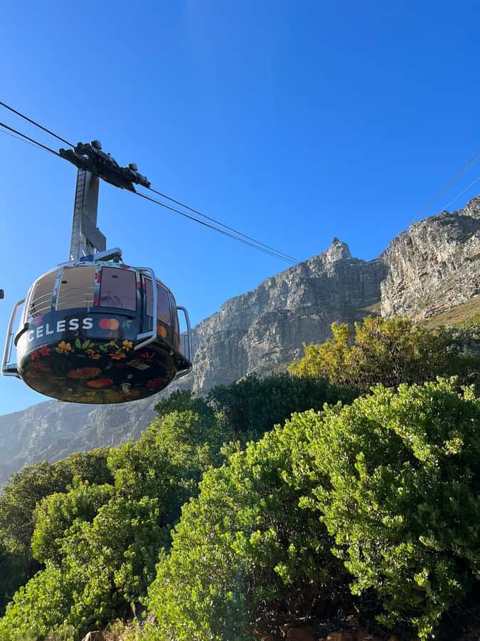 Table Mountain, Cape Of Good Hope, Penguins, Full Day Tour - Boulders Beach and the penguin colony: close, calm, and very funny