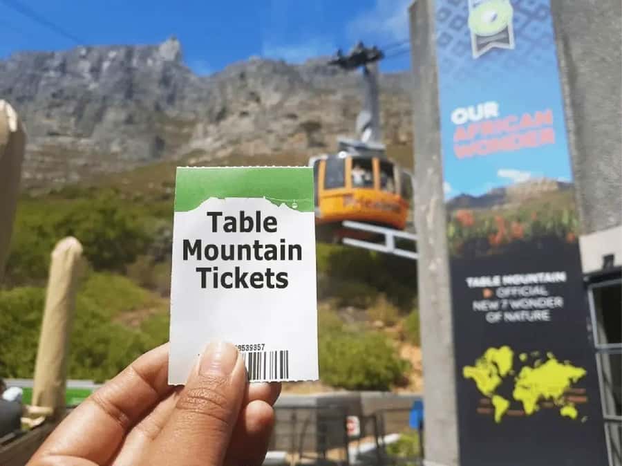 Table Mountain, Cape of Good Hope & Penguins Shared Tour - What the Best Guides Do for This Type of Day