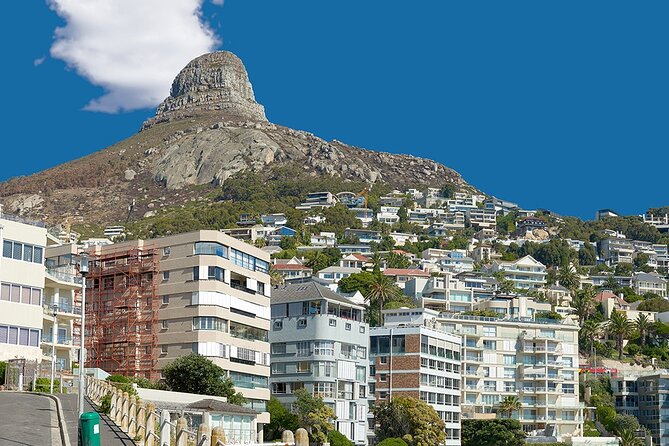 Table Mountain, Cape Point & Penguin Beach ENTRANCE INCLUDED - Boulders Beach and the African penguin colony