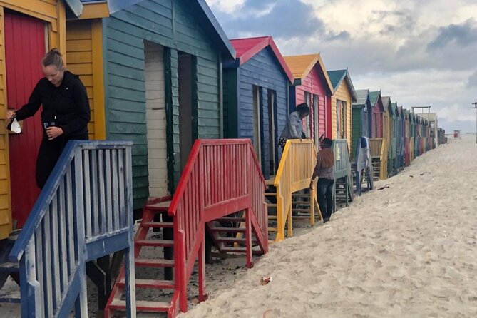 Table Mountain,Cape Point & Penguins Shared Tour, From Cape Town - Camps Bay, Llandudno, Hout Bay, and Chapman’s Peak Drive