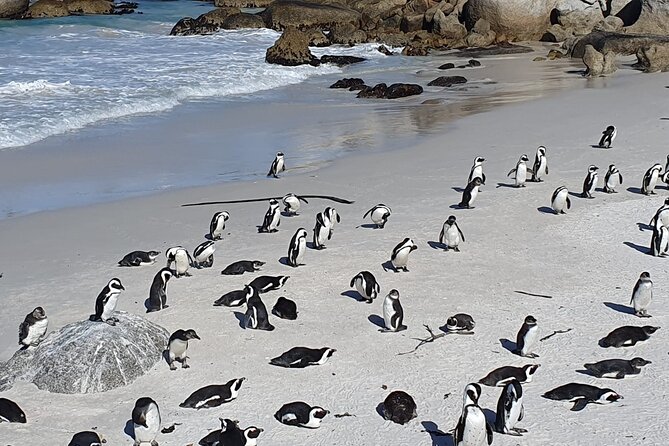 Table Mountain,Cape Point & Penguins Shared Tour, From Cape Town - Cape of Good Hope: The Names, the Currents, and That Photo Signboard