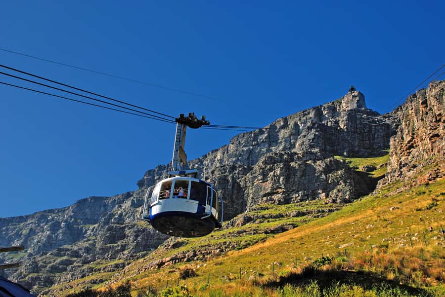 Table Mountain & Cape Town City Half Day Guided Tour - Why This Table Mountain and Cape Town City Tour Works in 5 Hours