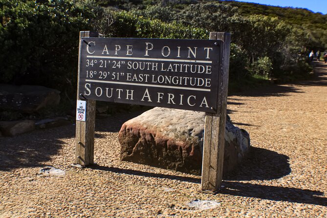 Table Mountain, Chapmans Peak Drive, Cape Point & Penguins - Boulders Beach penguin colony: what you should expect in one hour