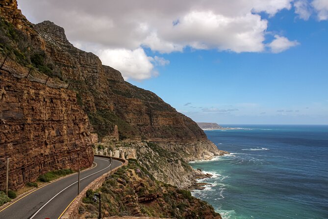 Table Mountain, Chapmans Peak Drive, Cape Point & Penguins - Cape Point and the Cape of Good Hope: birds, baboons, and penguins