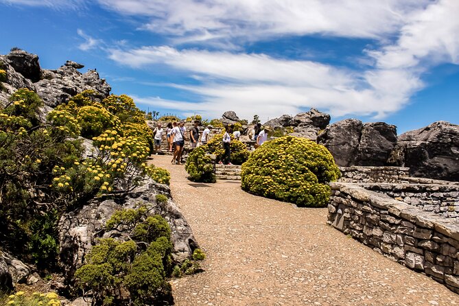 Table Mountain, Chapmans Peak Drive, Cape Point & Penguins - Comfort, timing, and what to pack for a 7 to 10 hour day