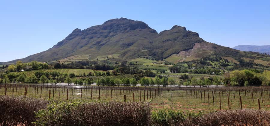 Table Mountain & Constantia Wine Estate Private Combo Tour - What Makes This Tour Feel Like Value, Not Just a Package