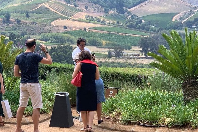 Table Mountain & Constantia Wine Tasting Full Day Tour. - Klein Constantia: cool breezes, white-heavy vines