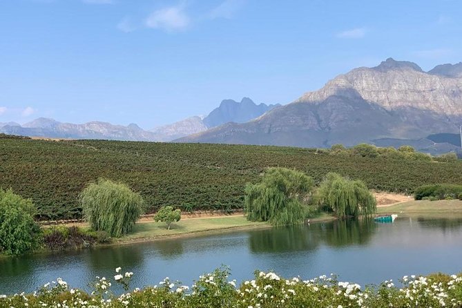 Table Mountain & Constantia Wine Tasting Full Day Tour. - Price and value: what your $225.04 actually covers