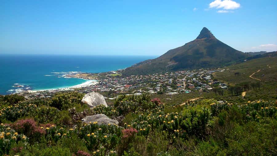 Table Mountain: Easy walk for the Whole Family - PRIVATE - Key things you will love on this Pipe Track walk