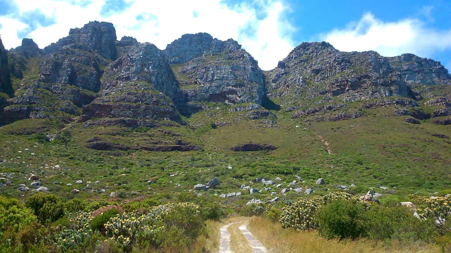 Table Mountain: Easy walk for the Whole Family - PRIVATE - Following the Camps Bay Pipe Track from Kloof Nek