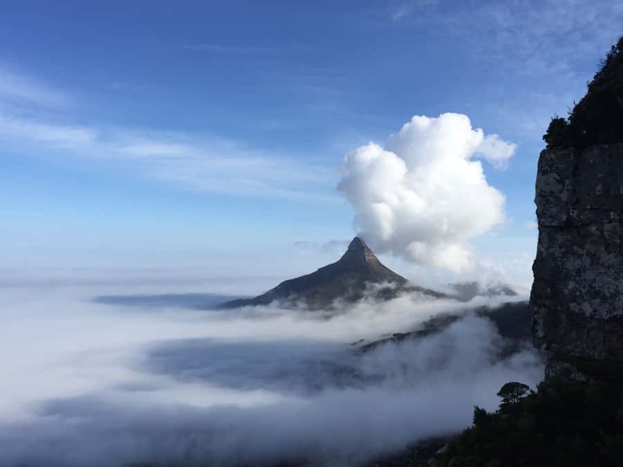 Table Mountain: Easy walk for the Whole Family - PRIVATE - Camps Bay, Bakoven, and Lion’s Head views you can actually enjoy
