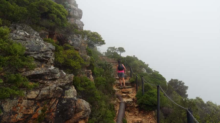 Table Mountain: Easy walk for the Whole Family - PRIVATE - Value for $137 per person, and who gets the best deal