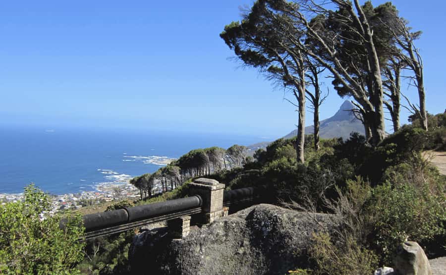Table Mountain: Easy walk for the Whole Family - PRIVATE - What the 2 to 3 hour hike feels like in real life