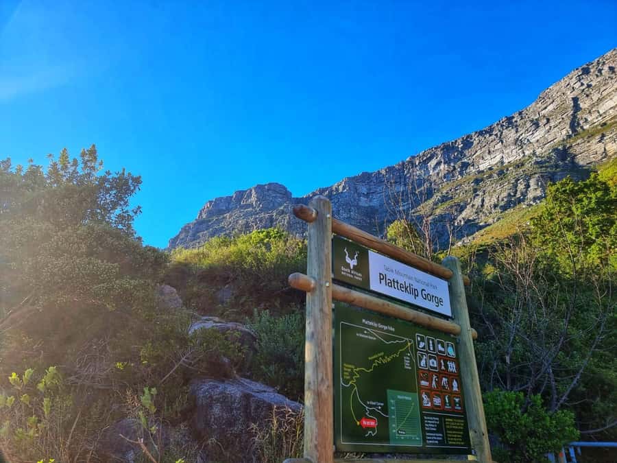 Table Mountain Group Hike - Solo Travelers welcome - Meeting on Tafelberg Road and Finding the Platteklip Start