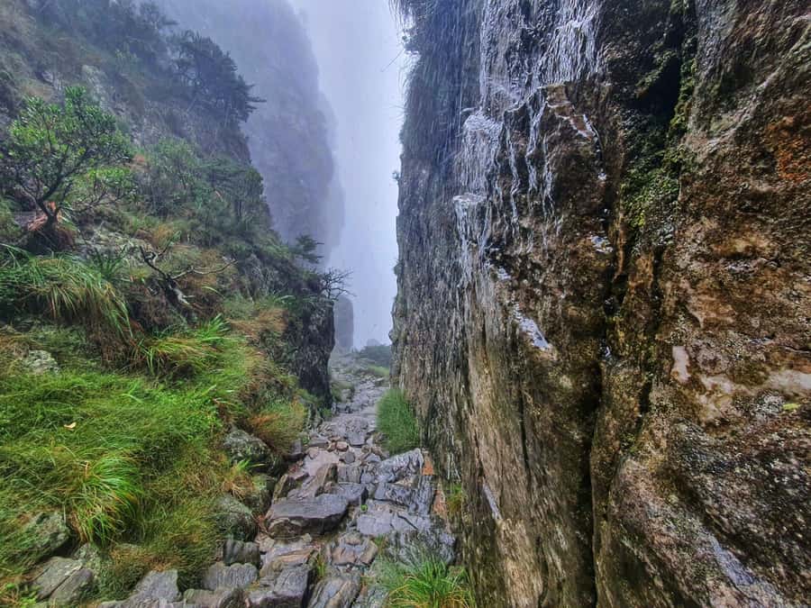 Table Mountain Group Hike - Solo Travelers welcome - Pace, effort, and who should enjoy Platteklip (and who shouldn’t)