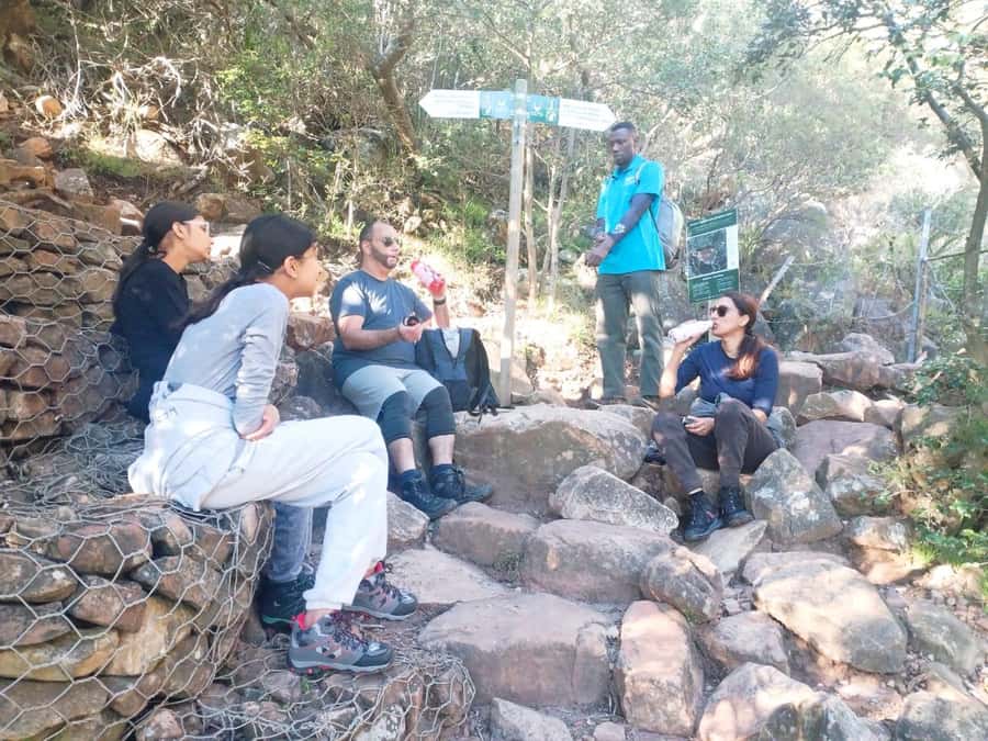 Table Mountain Group Hike - Solo Travelers welcome - Price and value: does $46 make sense?
