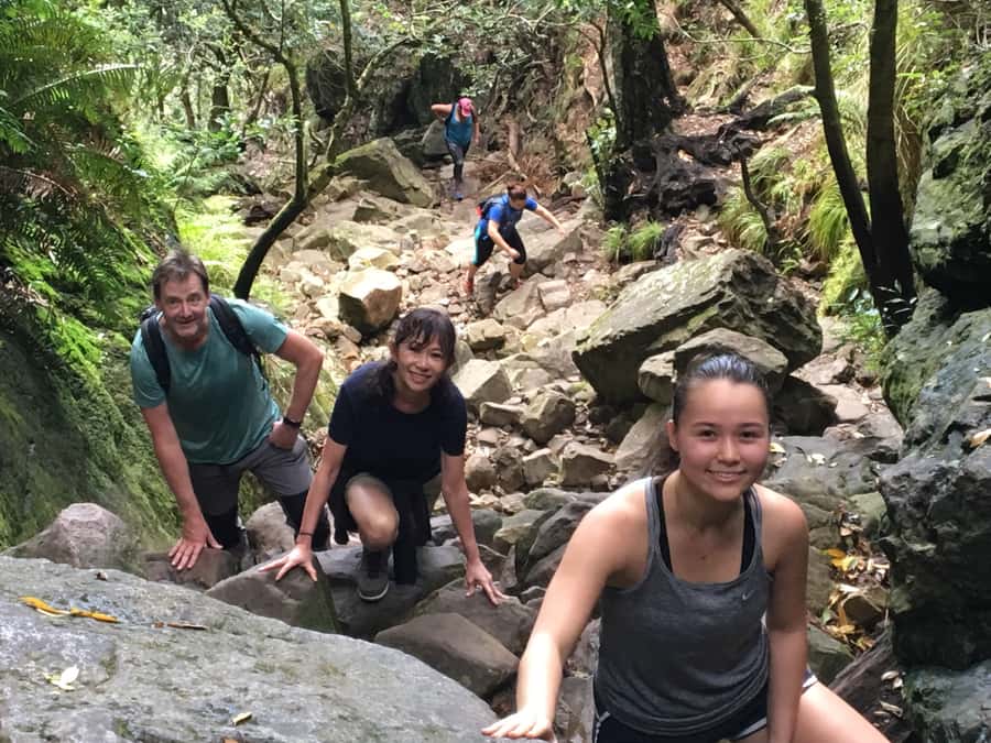 Table Mountain Hike with Local Tour Guide - Should You Book This Table Mountain Hike?