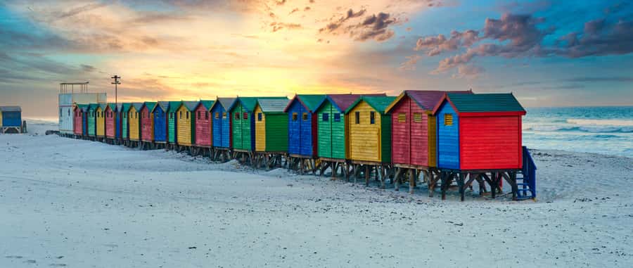 Table Mountain, Penguins & Cape of good hope full day Tour - A 9-hour mix of city viewpoints and big nature hits