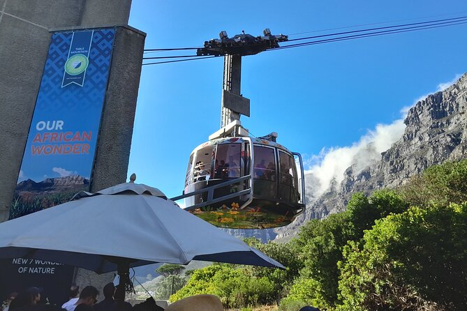 Table Mountain, Penguins & Cape of Good Hope Private Tour - Key things that make this tour worth your time