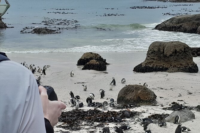Table Mountain, Penguins & Cape of Good Hope Private Tour - Morning drive: Bo-Kaap color and Camps Bay coast, without eating up your day