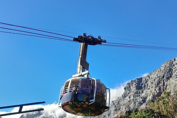 Table Mountain, Penguins & Cape of Good Hope Private Tour - Hout Bay break time, boat cruise, and spotting wildlife if luck is on your side