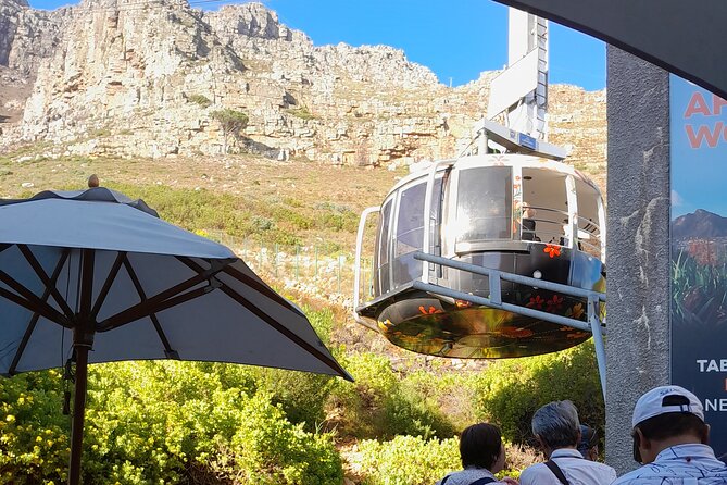 Table Mountain, Penguins & Cape of Good Hope Private Tour - Cape of Good Hope: short walk time and serious open-air views