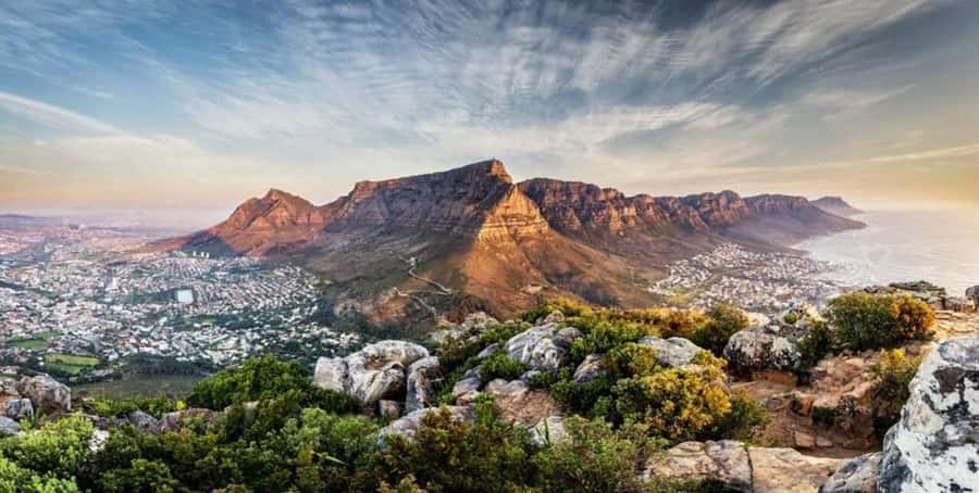 Table Mountain,Seals,Penguin,Cape of good hope,Bokaap , - The route that strings Cape Town’s icons into one 9-hour plan