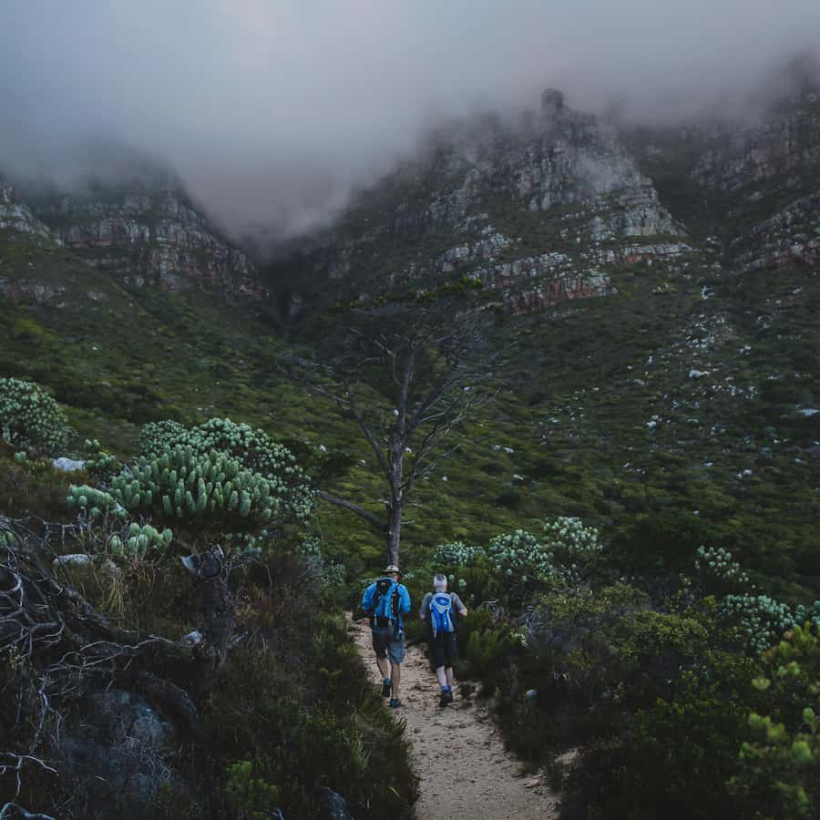 Table Mountain: Skeleton Gorge Hike - Key Highlights You Should Actually Care About
