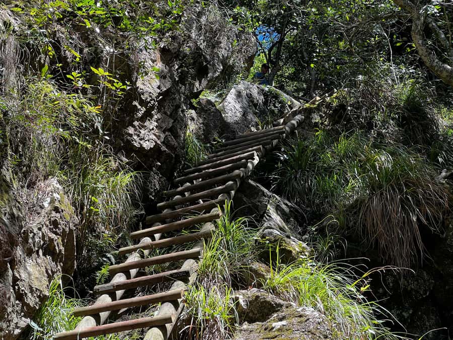 Table Mountain: Skeleton Gorge Hike - Climbing Skeleton Gorge, Including the Ladders