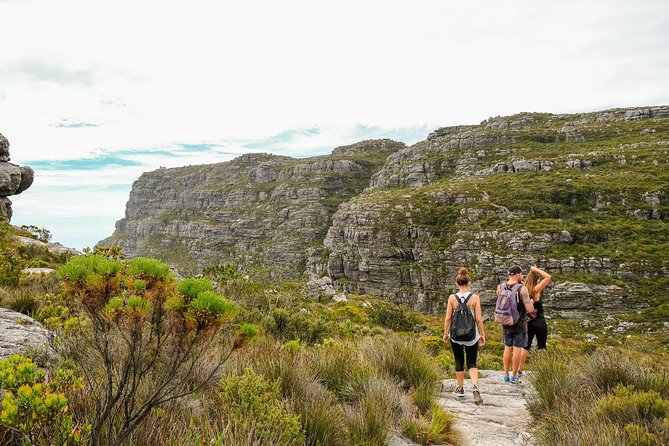 Table Mountain Summit Hike via Kasteelspoort - Back Table and the board-shaped rock outcrop (the moment views get real)