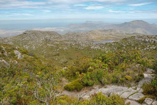 Table Mountain Summit Hike via Kasteelspoort - Reaching the summit plateau near Upper Cable Station (around 1,067 m)