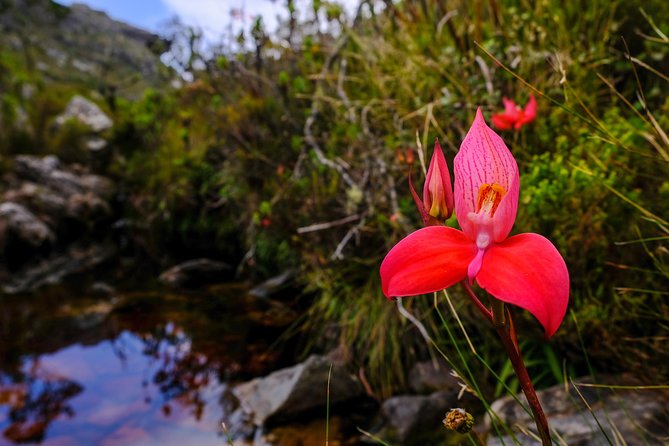 Table Mountain Summit Hike via Kasteelspoort - The guide: what makes the difference between a walk and a story