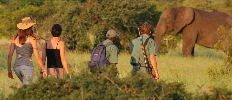 Tala Game Reserve & Natal Lion Park 1/2 Day Tour from Durban - A half-day wildlife combo from Durban: Tala and Natal Lion Park