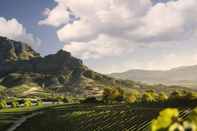 Taste + Tram the Winelands Tour: Franschhoek, Stellenbosch, Paarl - Or it’s Plaisir Wine Estate: the tram route twist