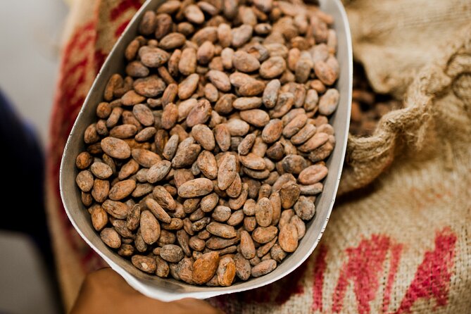 The Art of Chocolate Making Bean-To-Bar Experience in Cape Town - Price and Value: Is $10.79 a Good Deal?