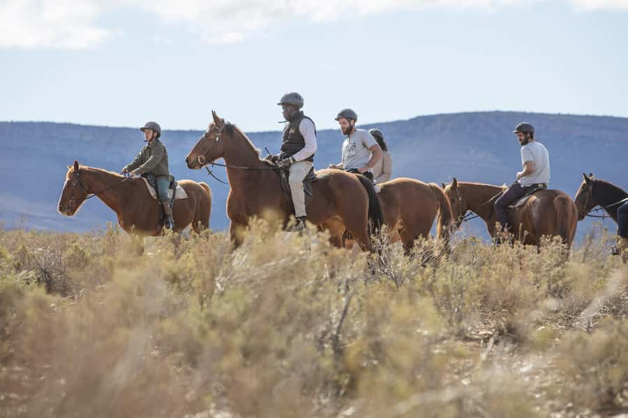 The Best Private Cape Town Safari Day Trip - Aquila Big 5 - Key highlights worth your attention