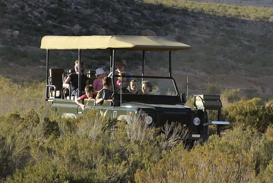 The Best Private Cape Town Safari Day Trip - Aquila Big 5 - Time at leisure from 13h45: pool time may depend on the day