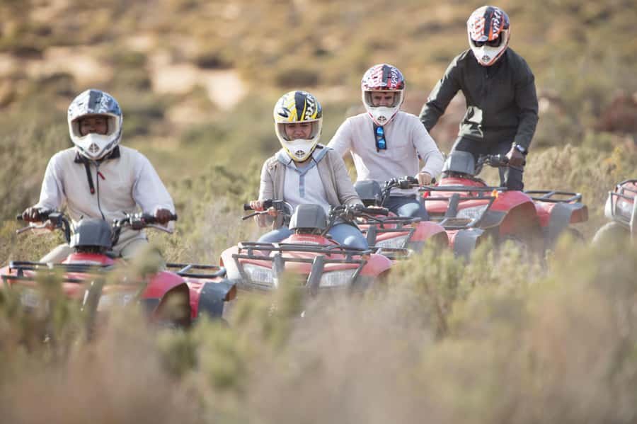 The Best Private Cape Town Safari Day Trip - Aquila Big 5 - Price and value: what $374 per person buys you