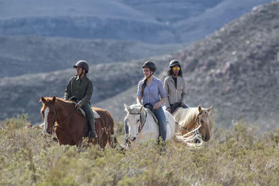 The Best Private Cape Town Safari Day Trip - Aquila Big 5 - Getting to Aquila: private luxury transfers from your hotel
