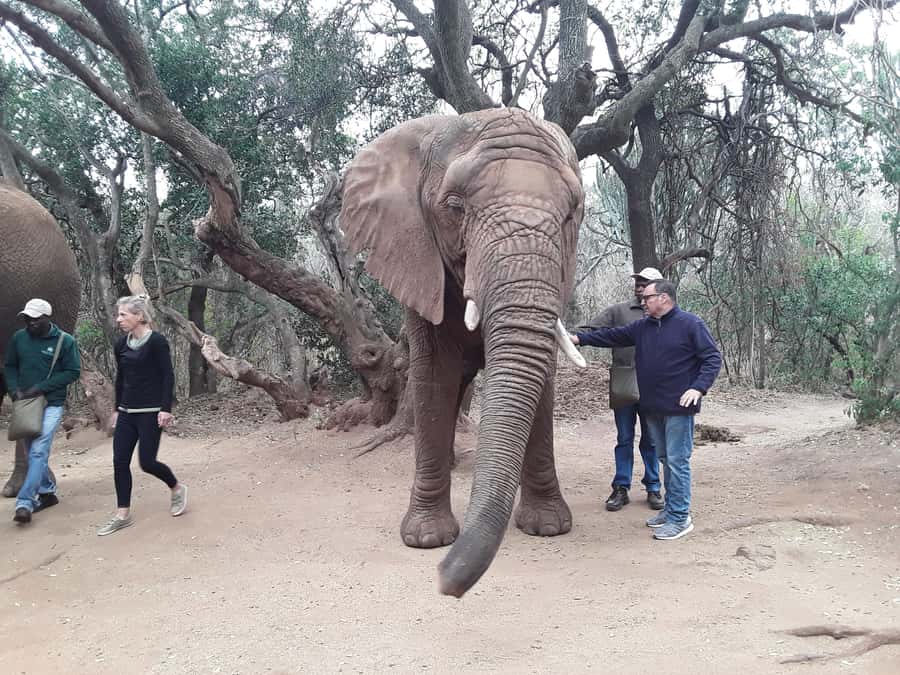 The Elephant and Monkey Sanctuary. - Key highlights you should not miss