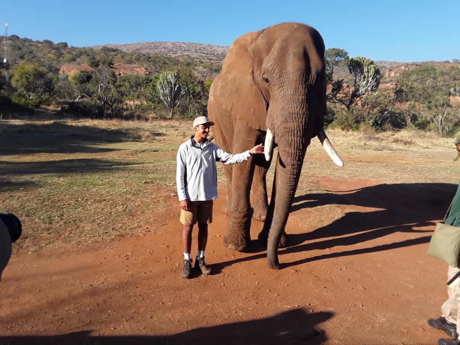 The Elephant and Monkey Sanctuary. - Elephant sanctuary time: feeding, brushing, and walking close