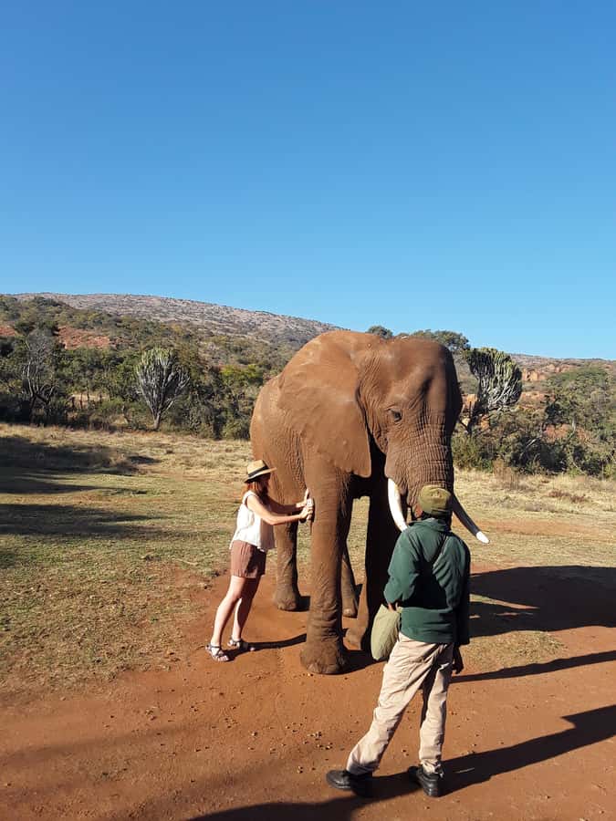 The Elephant and Monkey Sanctuary. - Photo tips that work when the animals are right there